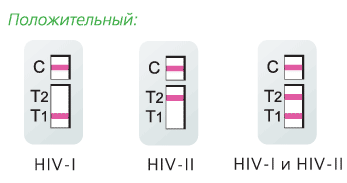 iScreen-HIV - экспресс-тест на ВИЧ 1 и 2 - интерпретация результатов